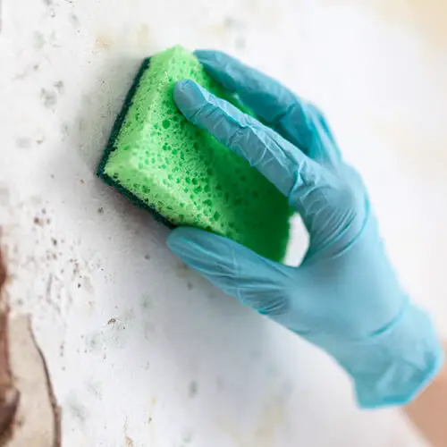 How to Paint Over Peeling Paint on Walls